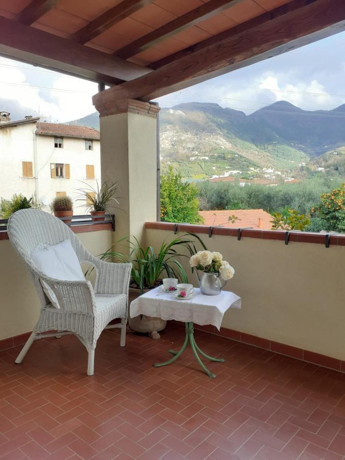 Villa Rustico Degli Ulivi Vallecchia Exterior foto